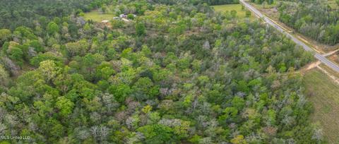 E Mchenry Road, Perkinston, MS 39573 photo 5