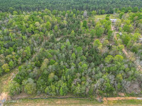 E Mchenry Road, Perkinston, MS 39573 photo 2