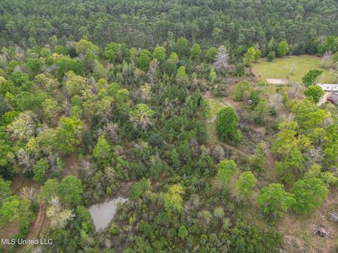 E Mchenry Road, Perkinston, MS 39573 photo 3