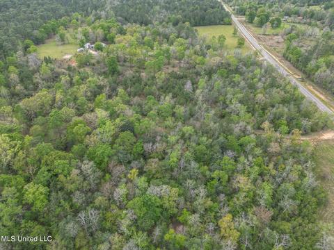 E Mchenry Road, Perkinston, MS 39573 photo 4