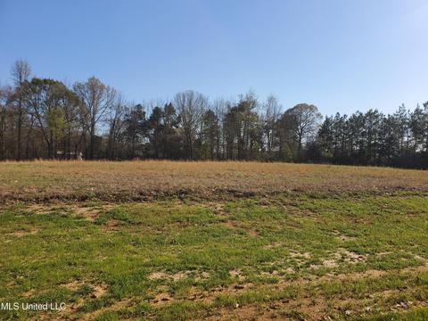 001 Fulmer Rd, Como, MS 38619