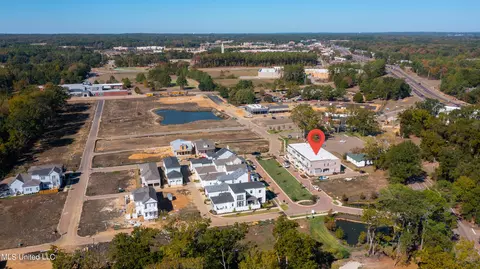 View/Area - 212 Amelia Cir, Madison, MS 39110 photo 3 of 3