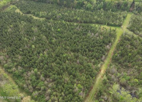Little Lane, Crystal Springs, MS 39059