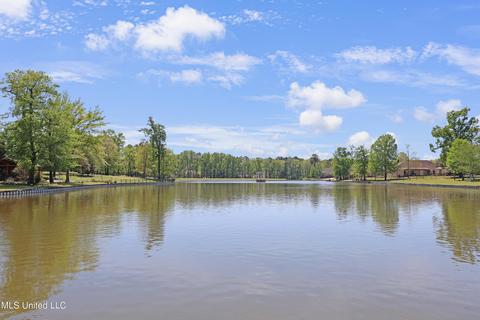 603 Turquoise Ct, Flowood, MS 39232 photo 51