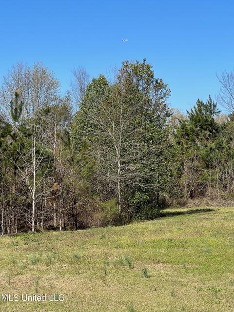 5891 Mcingvale Rd, Hernando, MS 38632 photo 2