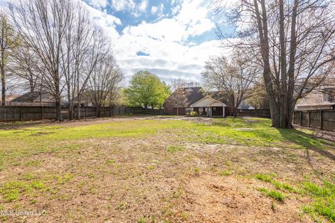 7565 Broken Hickory, Walls, MS 38680 photo 15