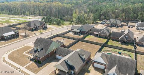 2377 St Ives Ln, Hernando, MS 38632 photo 5