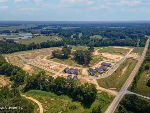 View/Area - 2548 W Ac Freeman Dr, Hernando, MS 38632 photo 4 of 4