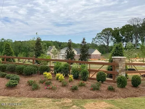 View/Area - 2548 W Ac Freeman Dr, Hernando, MS 38632 photo 2 of 4