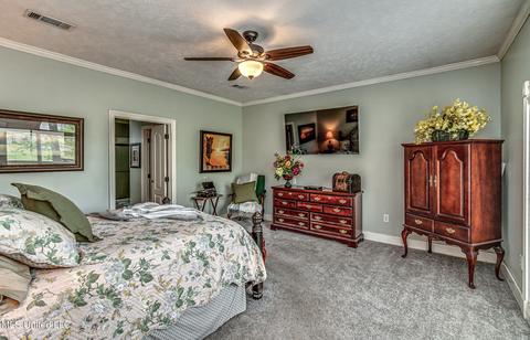 409 N Lake Dr, Brandon, MS 39042 photo 33