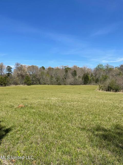 626 Haynes Chapel Rd, Pelahatchie, MS 39145