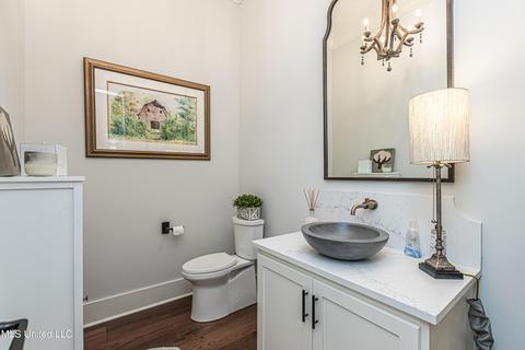 105 Edenberg Bnd, Madison, MS 39110 photo 56