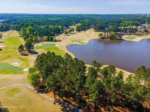 105 Edenberg Bnd, Madison, MS 39110 photo 9