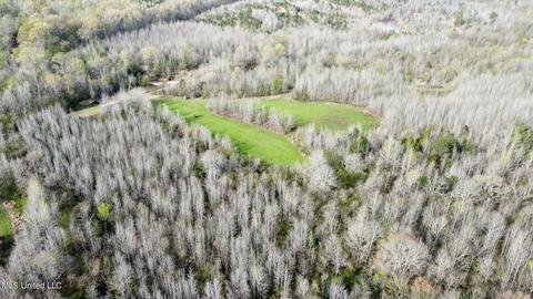 0 Shady Grove Rd, Goodman, MS 39079 photo 9