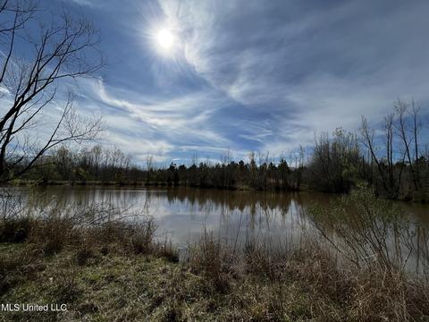 0 Shady Grove Rd, Goodman, MS 39079 photo 28