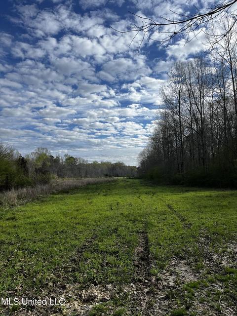 0 Shady Grove Rd, Goodman, MS 39079 photo 21