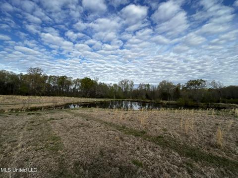 0 Shady Grove Rd, Goodman, MS 39079 photo 15
