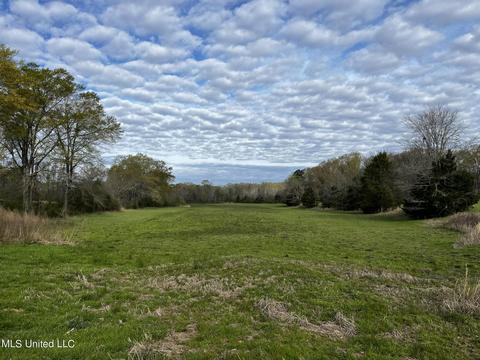 0 Shady Grove Rd, Goodman, MS 39079 photo 13