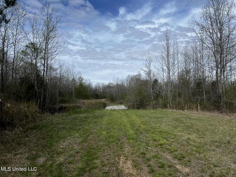 0 Shady Grove Rd, Goodman, MS 39079 photo 23