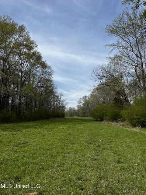 0 Shady Grove Rd, Goodman, MS 39079 photo 32