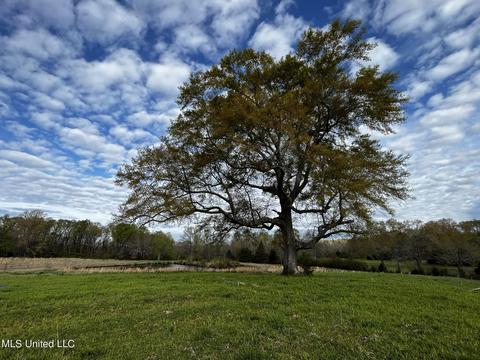 0 Shady Grove Rd, Goodman, MS 39079 photo 14