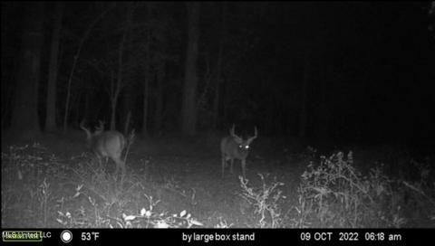 0 Shady Grove Rd, Goodman, MS 39079 photo 39