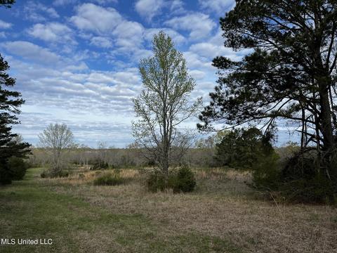 0 Shady Grove Rd, Goodman, MS 39079 photo 19