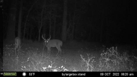 0 Shady Grove Rd, Goodman, MS 39079 photo 45