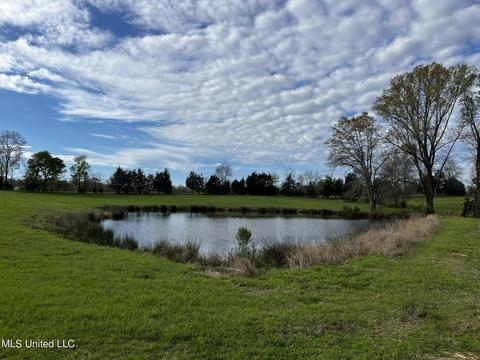 0 Shady Grove Rd, Goodman, MS 39079 photo 3