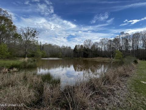 0 Shady Grove Rd, Goodman, MS 39079 photo 22