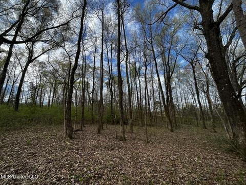 0 Shady Grove Rd, Goodman, MS 39079 photo 17