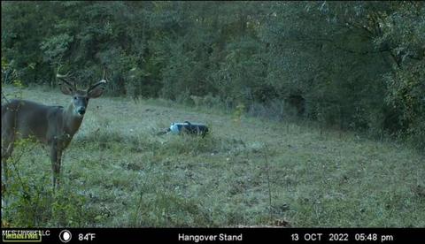 0 Shady Grove Rd, Goodman, MS 39079 photo 46