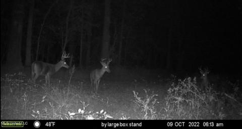0 Shady Grove Rd, Goodman, MS 39079 photo 41