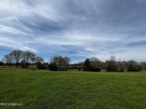 0 Shady Grove Rd, Goodman, MS 39079 photo 33