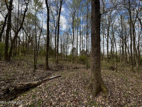 0 Shady Grove Rd, Goodman, MS 39079 photo 18