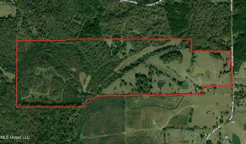0 Shady Grove Rd, Goodman, MS 39079 photo 2