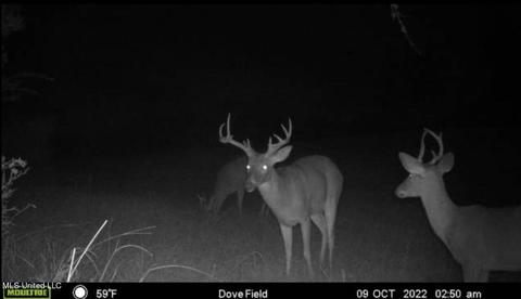 0 Shady Grove Rd, Goodman, MS 39079 photo 42