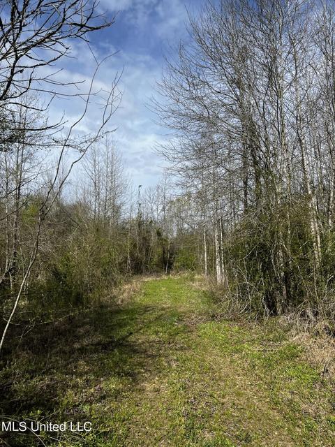 0 Shady Grove Rd, Goodman, MS 39079 photo 24
