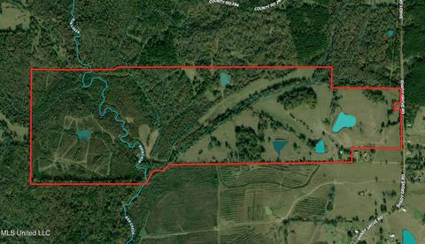 0 Shady Grove Rd, Goodman, MS 39079 photo 49