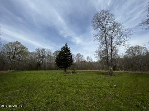 0 Shady Grove Rd, Goodman, MS 39079 photo 31