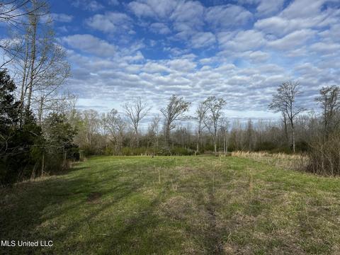 0 Shady Grove Rd, Goodman, MS 39079 photo 20