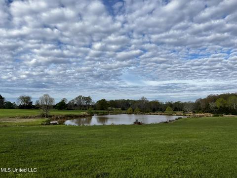 0 Shady Grove Rd, Goodman, MS 39079 photo 12
