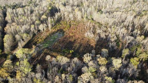 0 Shady Grove Rd, Goodman, MS 39079 photo 5