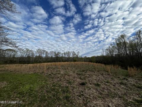 0 Shady Grove Rd, Goodman, MS 39079 photo 16