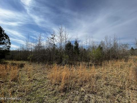 0 Shady Grove Rd, Goodman, MS 39079 photo 27
