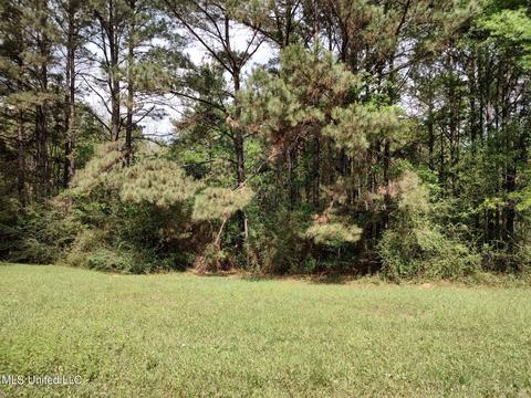 No Catfish Drive, Lumberton, MS 39455