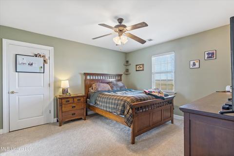 4605 Robertson Gin Rd, Hernando, MS 38632 photo 22