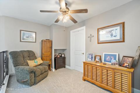 4605 Robertson Gin Rd, Hernando, MS 38632 photo 17