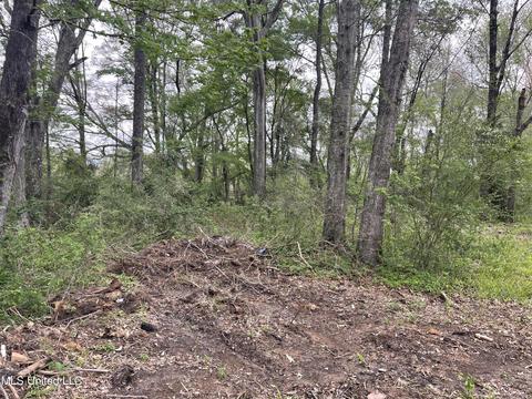 120 Cedar Ridge Rd, Raymond, MS 39154 photo 2