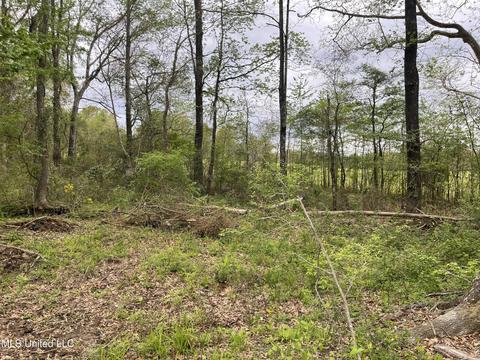 120 Cedar Ridge Rd, Raymond, MS 39154 photo 3